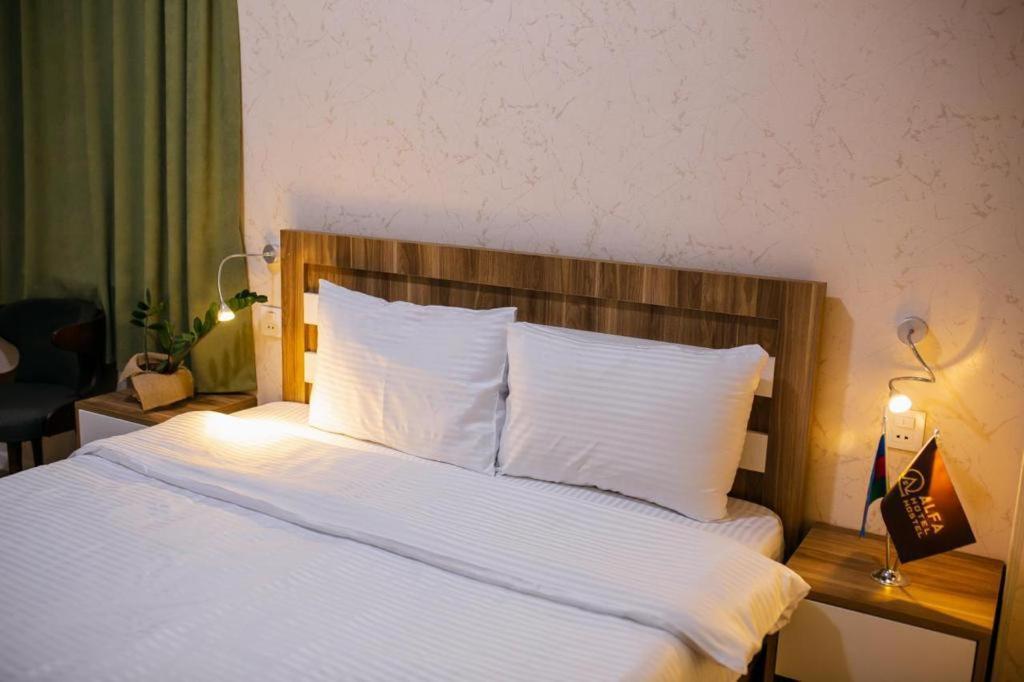Alfa Hotel 巴库 外观 照片